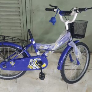 Lion King kids bicycle
