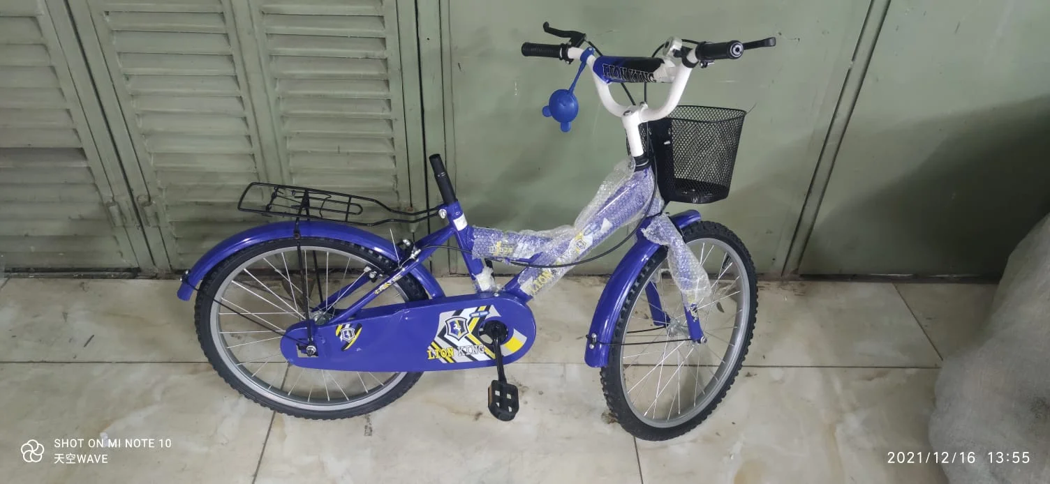Lion King kids bicycle size 20″ – Blue